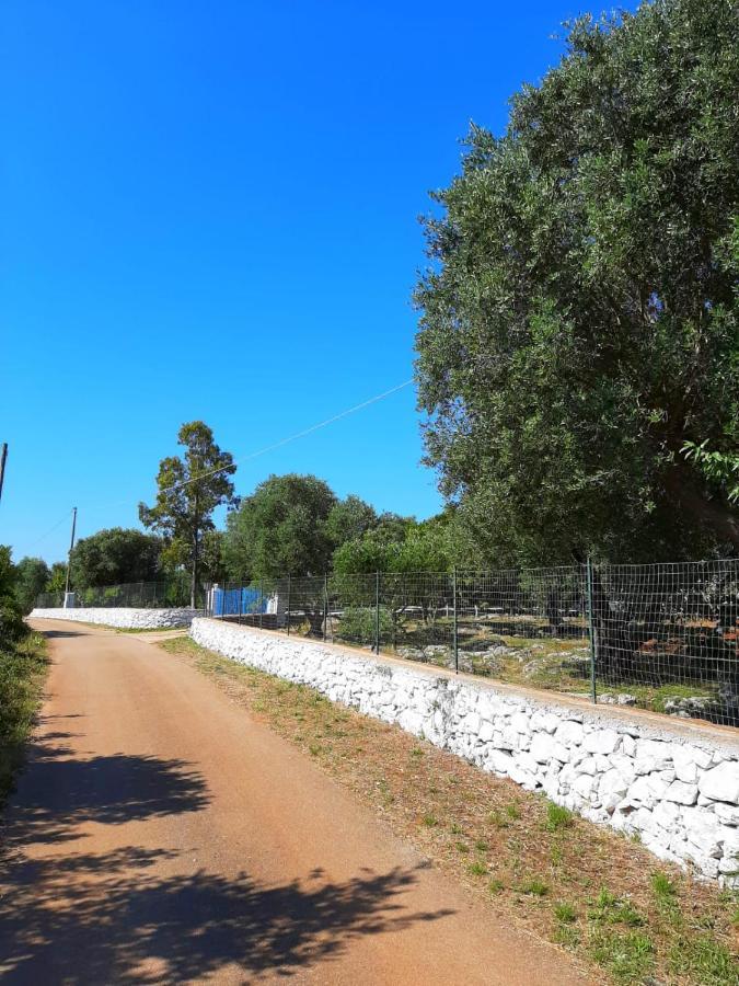Trullo Fellone Βίλα Ceglie Messapica Εξωτερικό φωτογραφία